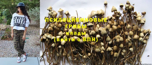 a pvp Беломорск