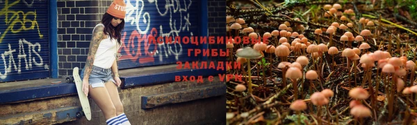 apvp Балабаново