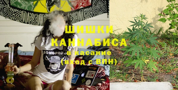 ПСИЛОЦИБИНОВЫЕ ГРИБЫ Баксан