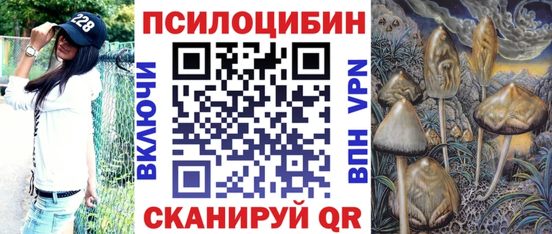 Псилоцибиновые грибы Cubensis  Купить закладки  Меленки 
